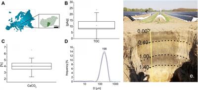 Soil Nitrous Oxide Emission and Methane Exchange From Diversified Cropping Systems in Pannonian Region